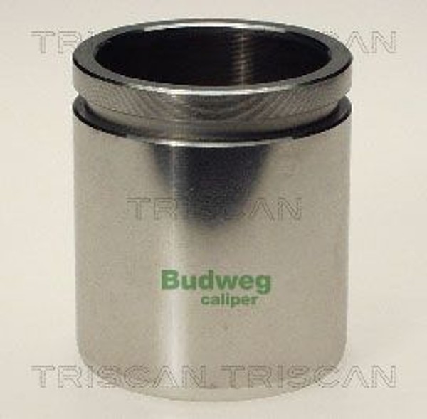 Kolben Bremssattel Triscan 8170 234831 FüR Seat Vw Golf 48Mm Stahl 2 19E 1G1 1G2-image