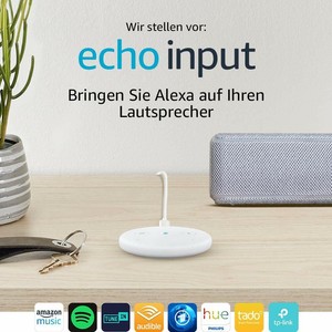 echo input ebay