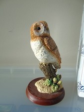 Border Fine Arts. Tawny Owl on Tree Trunk with Acorns. Boxed. "PRISTINE" A24890