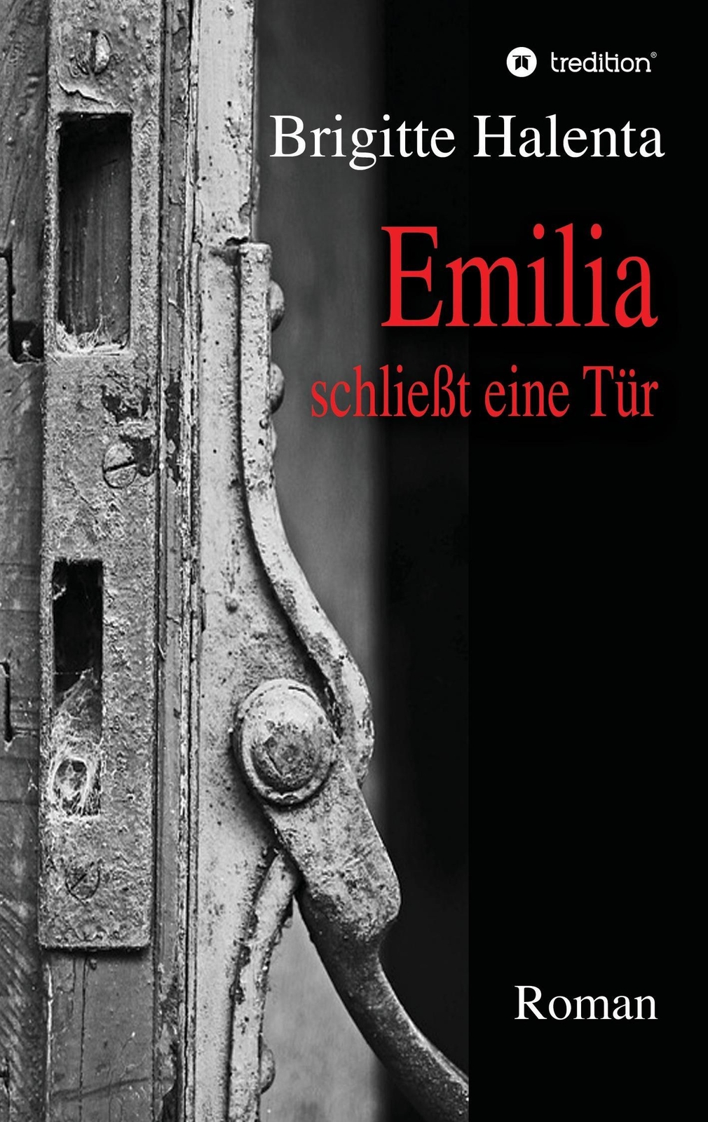 Emilia Schließt Eine Tür | Buch | 9783743900271