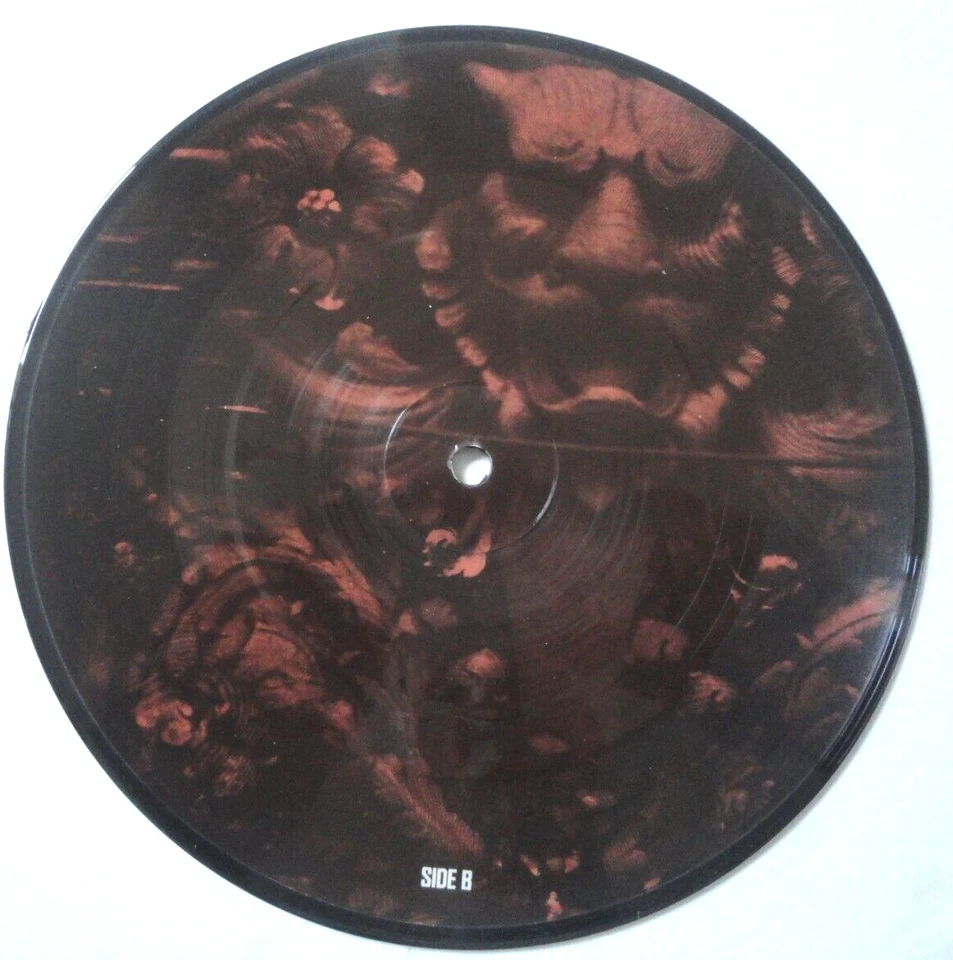 TAKING BACK SUNDAY, TWENTY-TWENTY SURGERY, 7" PICTURE DISC, EMO / HARDCORE, EX+ - Image 3 of 4