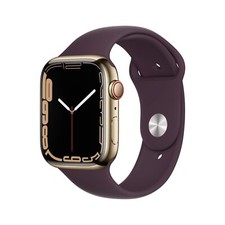 Apple Watch Series 7 GPS  Cellular 45mm Stainless Steel Case - Black Band
