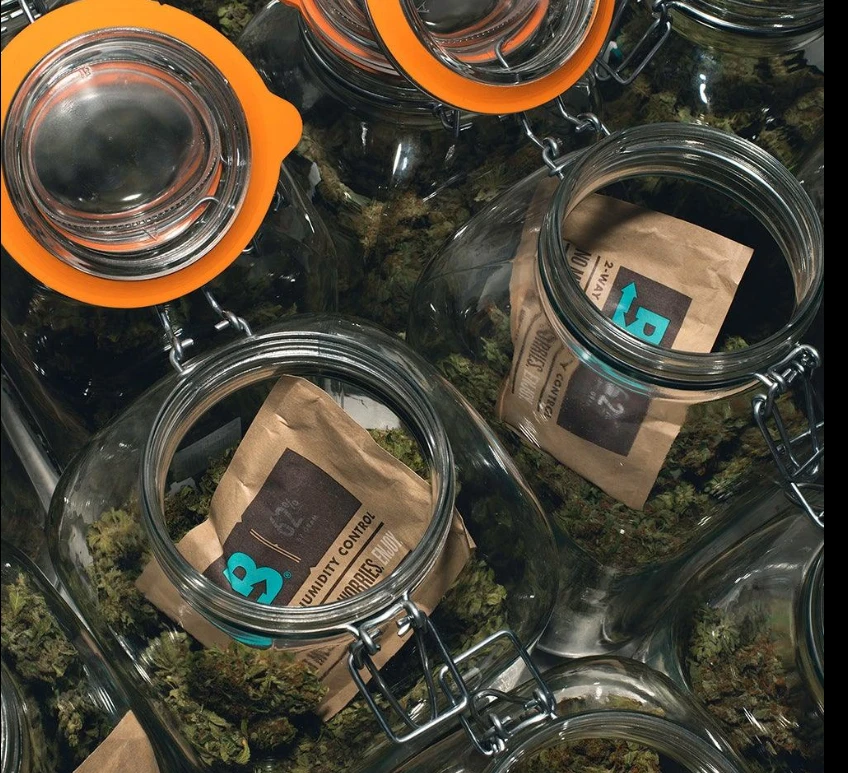 BOVEDA 62%-67g Hydro 12 Stk Pack Einzeln Verpackt mit Karton - Bild 2 von 3