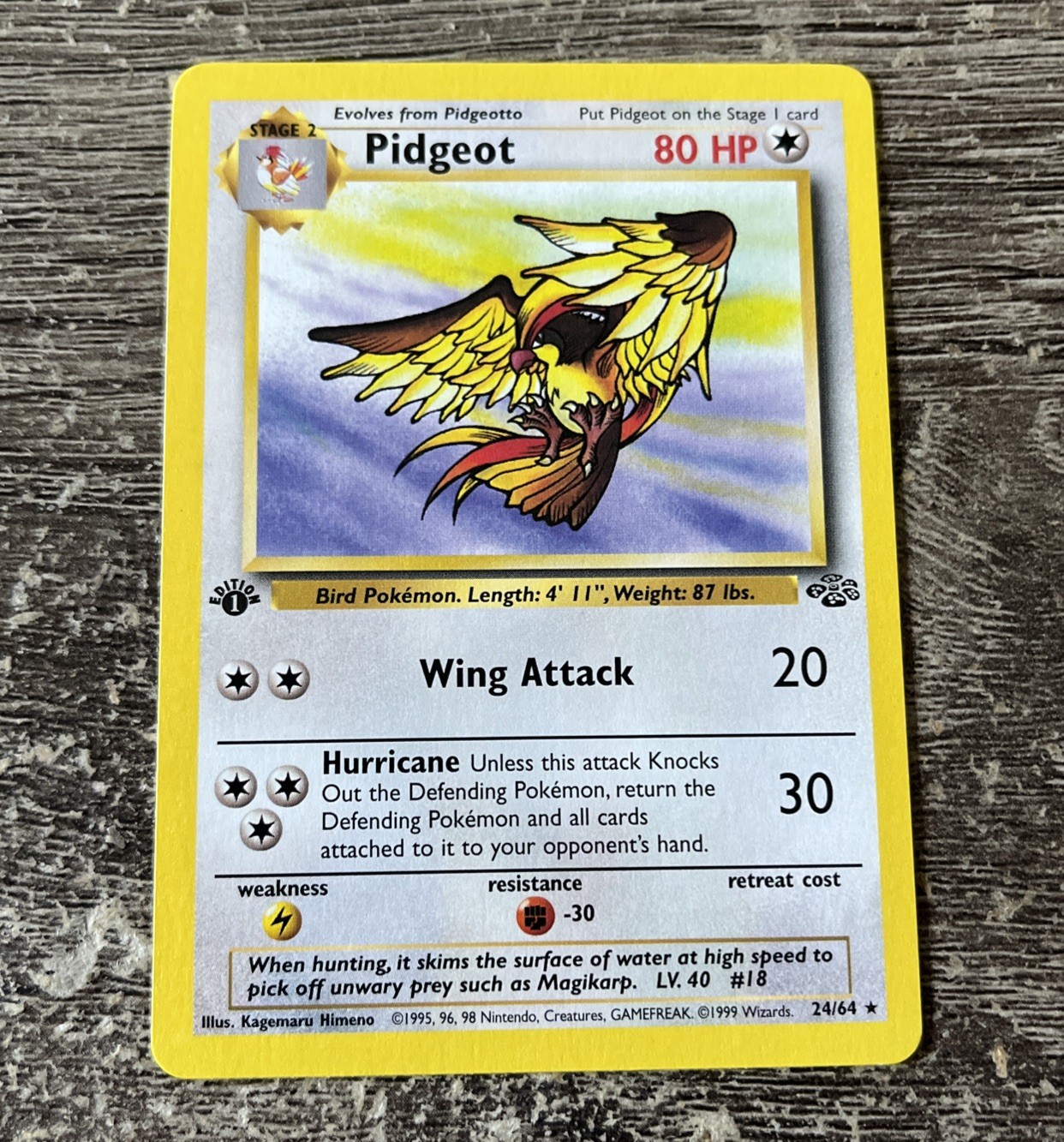Pokémon TCG Pidgeot Jungle Card 24/64 1st Edition Rare NM
