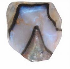 Soap Rock - Moonstone