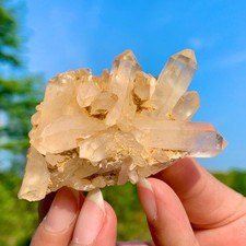 86G Natural Pineapple white backbone Quartz Cluster Point Crystal Healing Decor