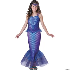 InCharacter Costumes, LLC Mysterious Mermaid, Bue/Purple, Large