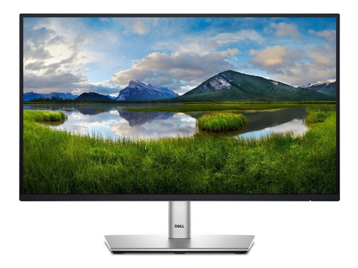 Dell W128898537 DELL-P2225H P Series P2225H Computer Monitor 54.6 Cm (21.5) ~E~ - Bild 2