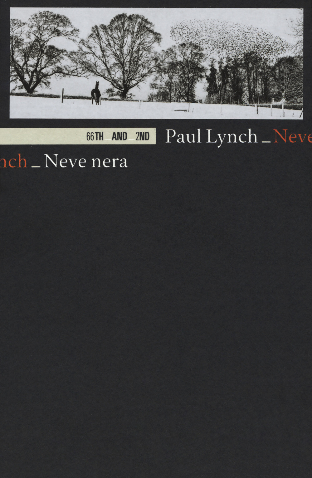 Neve nera - Lynch Paul