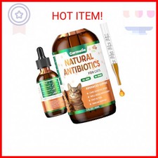 Natural Antibiotics for Cats Cat Antibiotics for Allergy Relief, Urinary Tract