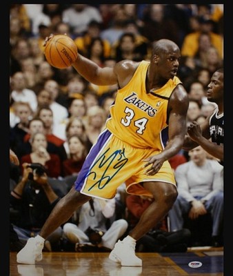 Los Angeles Lakers Shaque Die Cut Decal, Magnet,Wall Fat Head Style