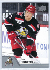 2020-21 Upper Deck AHL #91 Joe Hicketts