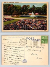 Pansy Bed Potomac Park Washington DC Postcard 1939 Linen Colorchrome
