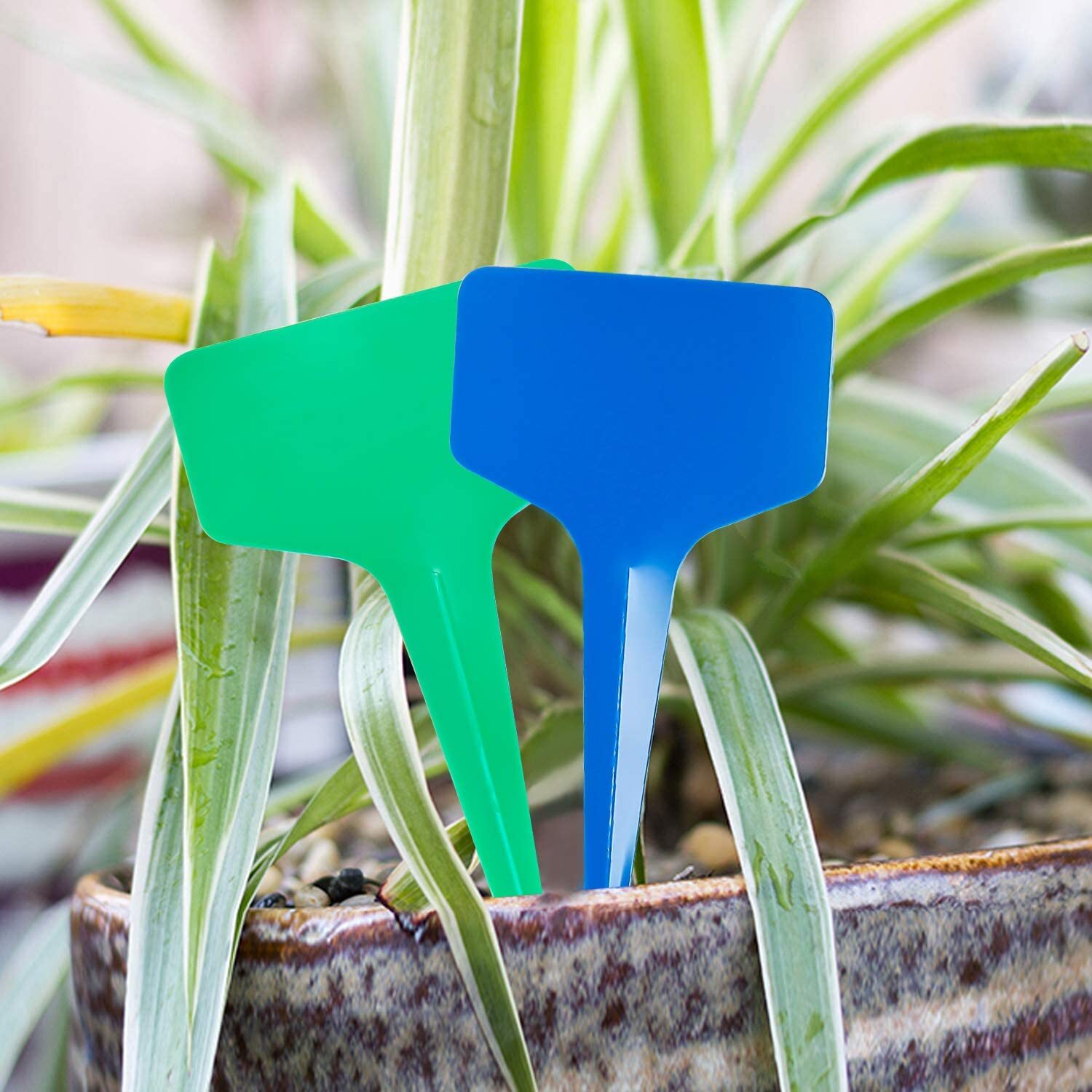 Farm Row Labels Blue T-Shaped Plant Labels | Garden Row Marker Seed Stake Food Tag ...