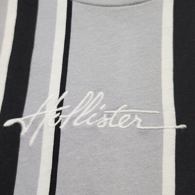 Hollister Co. ストライプ ロゴ入 半袖 Tシャツ 送関込 Hollister Men's T-Shirt Stripes Embroidered Logo Short