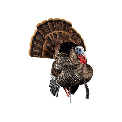 AVIAN-X HDR Strutter Turkey Decoy - Rugged Durable Realistic Lifelike...