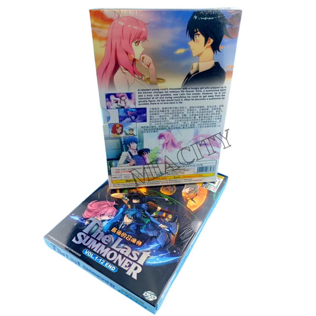 ANIME DVD The Last Summoner(1-12End) English subtitle