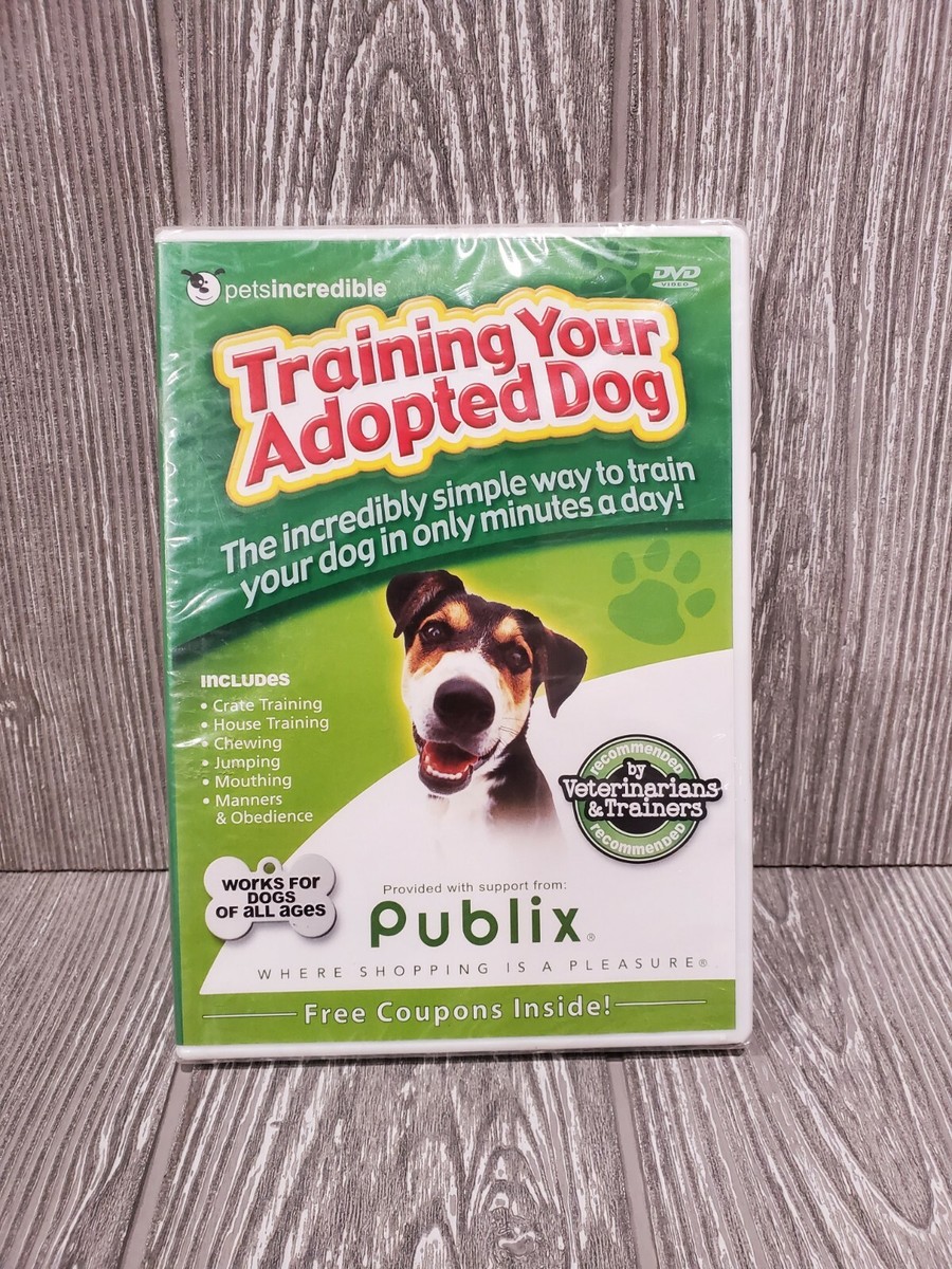 Dog Behavior Dog Trainer That Comes To Your House Training Your