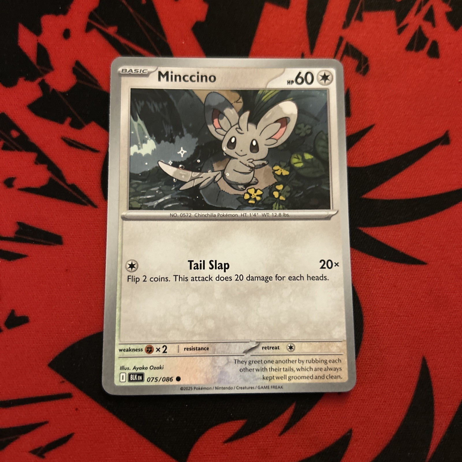 Minccino 075/086 Common Scarlet & Violet: Black Bolt Pokemon TCG NM