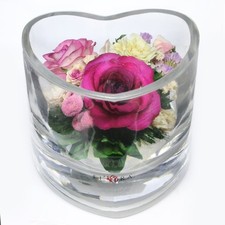 Fiora Flower Preserved Roses in Glass Vase   Real Roses Last 5 Years