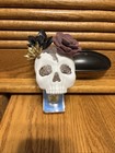 NEW. Bath & Body Works, Succulent, Skull Light Up Nightlight ￼ — photo 1