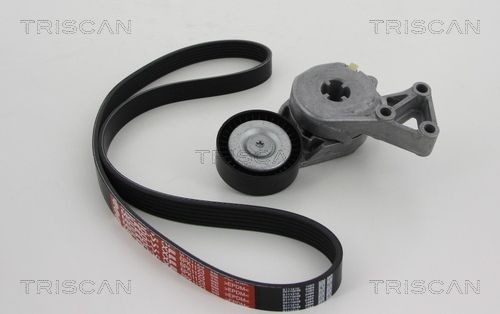 Triscan Keilrippenriemensatz 8642 29003 FüR Audi Seat Skoda Vw-image