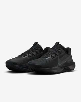 nike pegasus shoes price