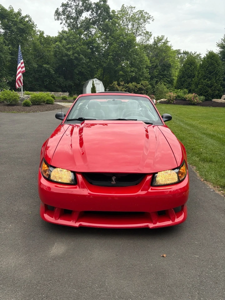 1999 年福特野马 COBRA SVT — 第 3/4 张图片