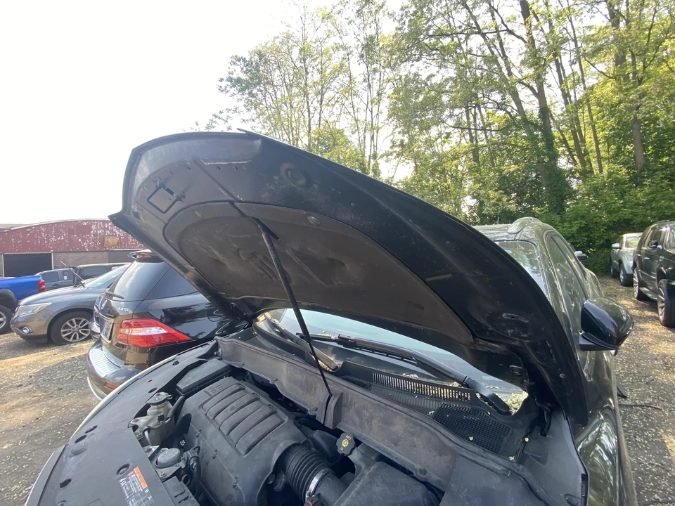 Used Hood fits: 2016 Buick Enclave  Grade B - Image 2 of 4
