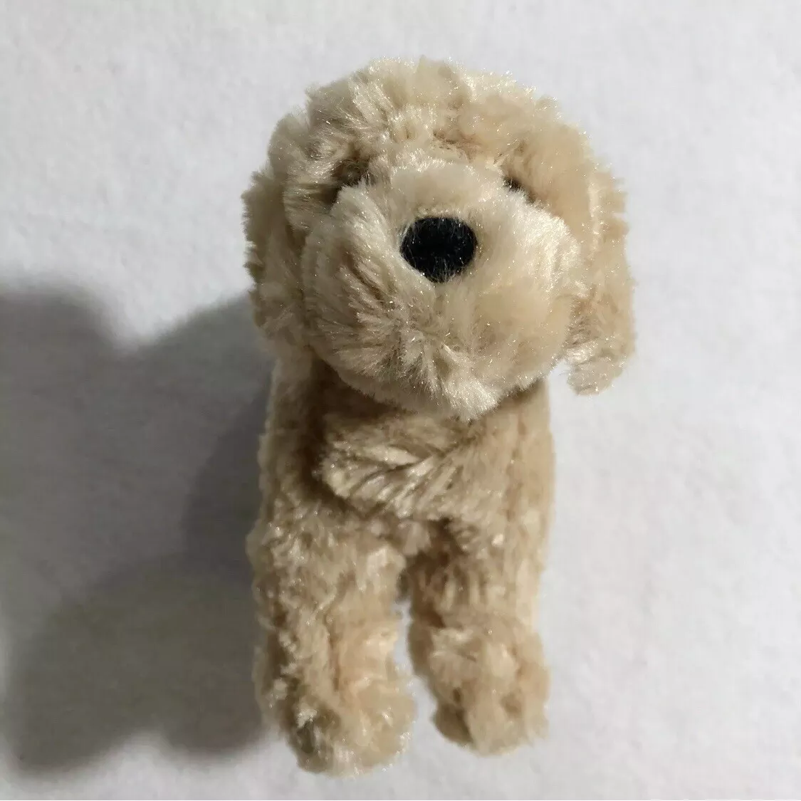 Toy poodle outlet and golden retriever