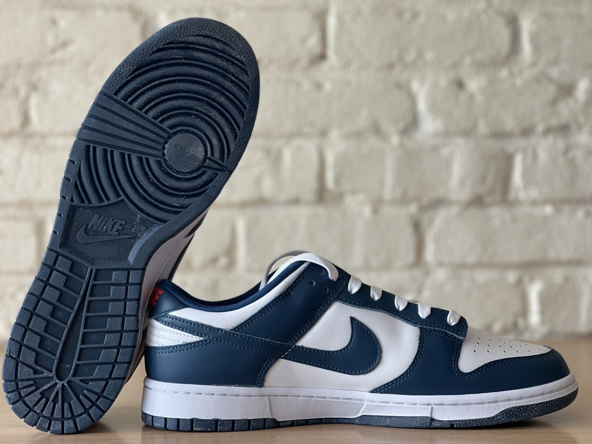 Nike Dunk Low Retro Valerian Blue/White Basketball Shoes Men Size 