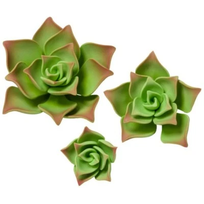 6 Individual Green Succulents Gum Paste Gumpaste flowers Fondant Sugar - Photo 1/4