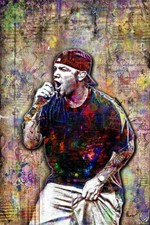 FRED DURST LIMP BIZKIT 20x30in Poster, Fred of Limp Bizkit Print Free Ship US