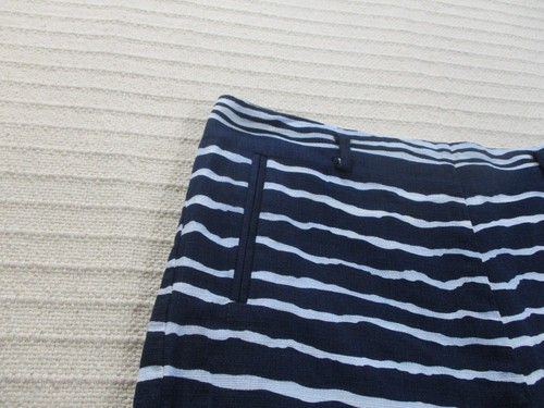 Cato Shorts Womens 10 Blue Striped Flat Front Zip Pockets Cotton White - Picture 3 of 10