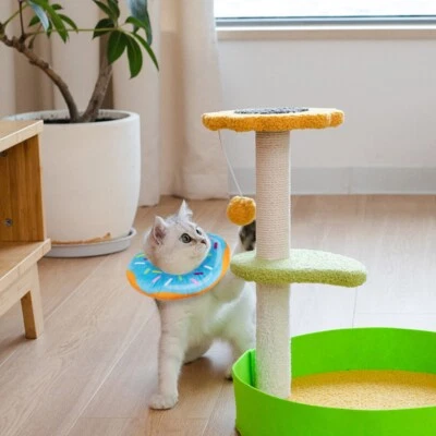 MITTENS Genesungshalsband Für Katzen – Weicher, Wendbarer Elizabethanischer Kegel (Biene, Klein)