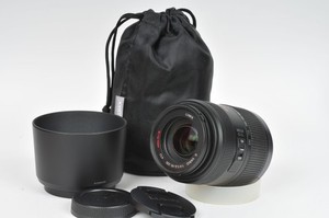 Panasonic Lumix G Vario 45-200mm f/4-5.6 M43Lens with Caps Case Hood H-FS045200