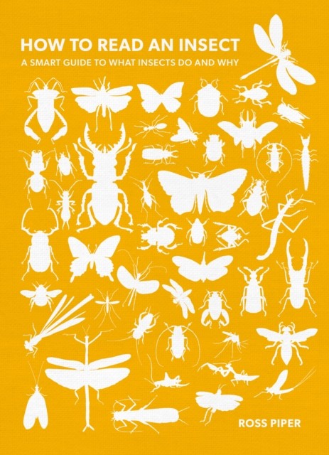 The History Press How To Read An Insect: A Smart Guide To What Insects Do And Why - Image 6