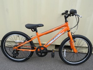 11 inch bike