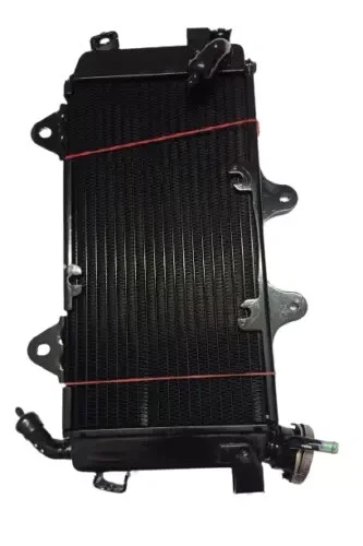 Radiador completo sin ventilador apto para el modelo Ktm Duke 390 Duke 250 2017-2020 Foto 2 de 4