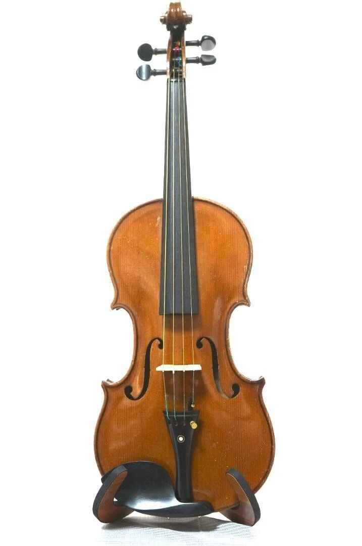 ビオラ C. A. Wunderlich Siebenbrunn 1910年頃 ビオラ C. A. Wunderlich Siebenbrunn 1910年頃