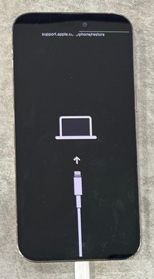 AS-IS Apple iPhone 14 Pro Max 128 GB Gold - Not working