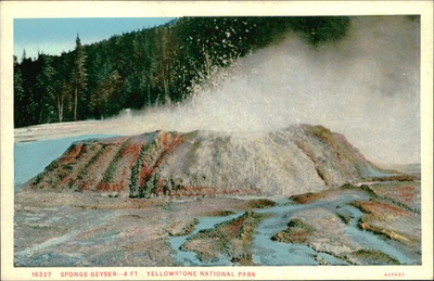 #ad Postcard: 16337 SPONGE GEYSER 4 FT.. YELLOWSTONE NATIONAL PARK HAYNES $5.58