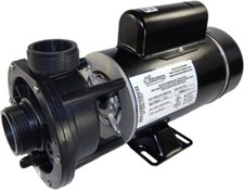Waterway Plastics 3420610-15 1.5 hp 115V 2-Speed Waterway Spa Pump 1 1/2 Center