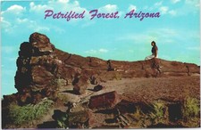 Old Faithful Log, Petrified Forest, Arizona Unposted Vintage Postcard