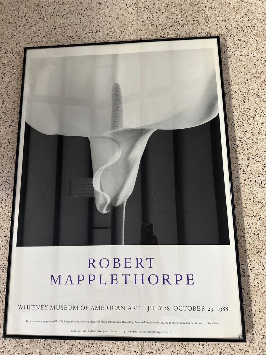 Robert Mapplethorpe 原版艺术海报| eBay