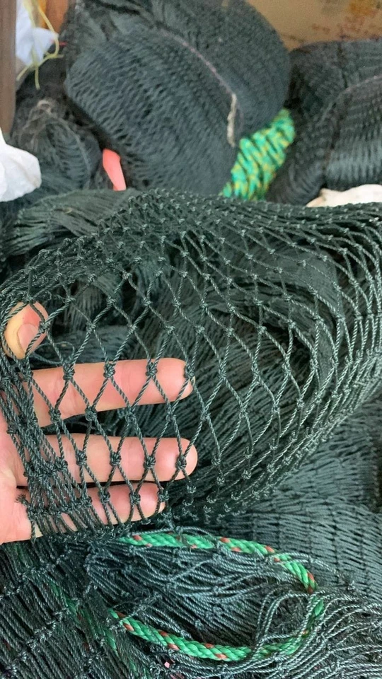 Multiple Netting - Image 3 of 4