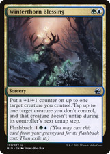 x1 Winterthorn Blessing MID MTG 251/277 UNCOMMON M/NM 1x