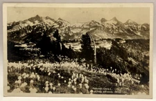 RPPC Tatoosh Range, Rainer National Park, Vintage Real Photo Postcard