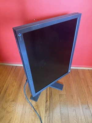 EIZO FlexScan L997 21.3in Class Color LCD Monitor Made in Japan | eBay