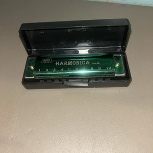 DMTS 10 Hole Harmonica Green With Case